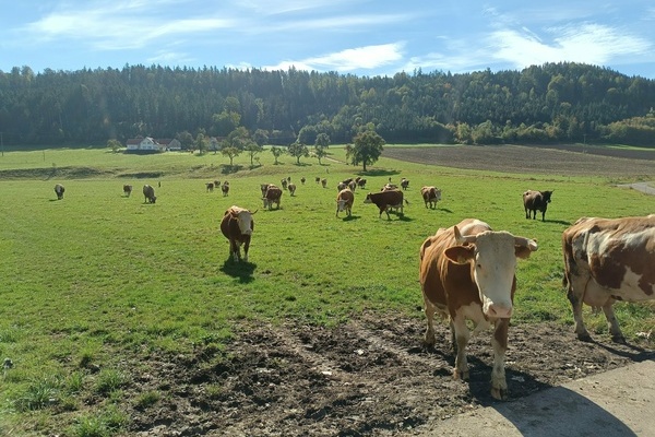 Jo's und Micha's Biolandhof