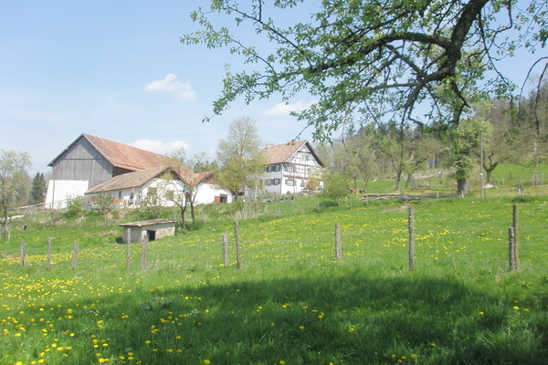Stofflerhof