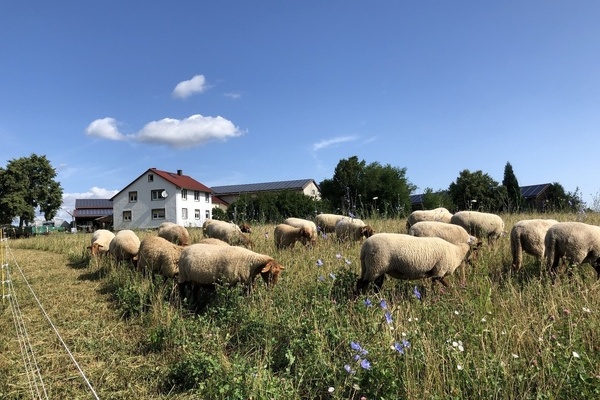 Berghof